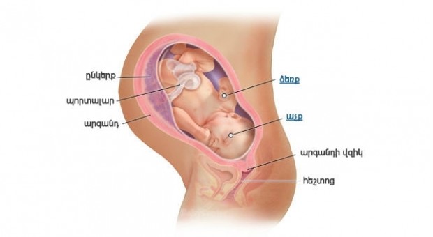 Հղիության 38-րդ շաբաթ