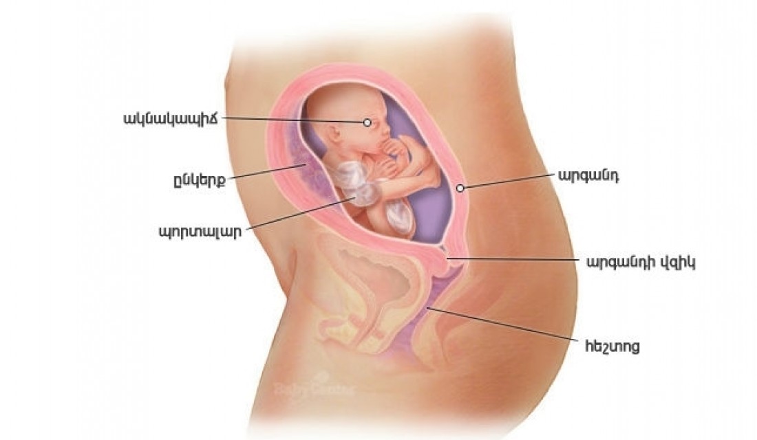 Հղիության 21-րդ շաբաթ