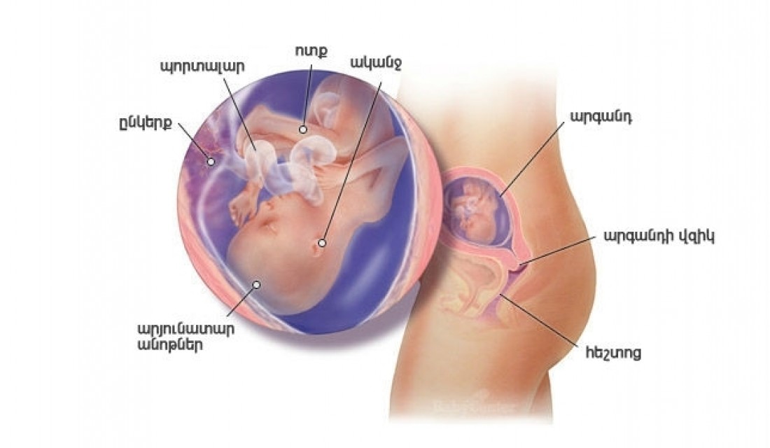 Հղիության 18-րդ շաբաթ