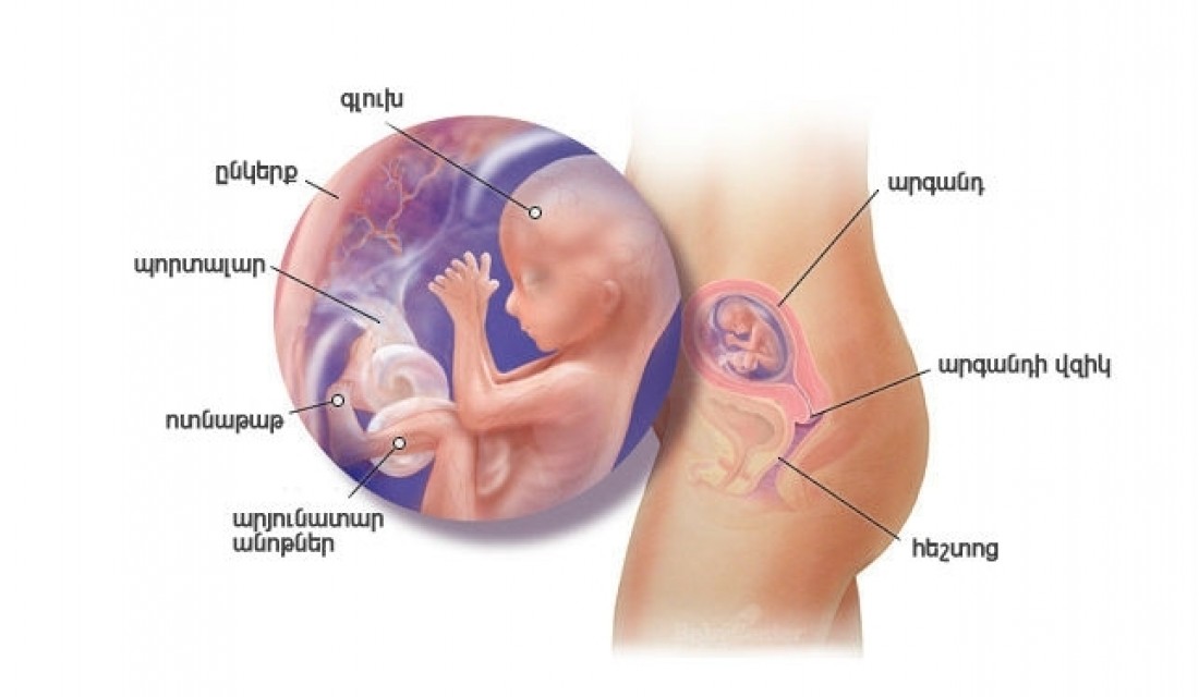 Հղիության 16-րդ շաբաթ