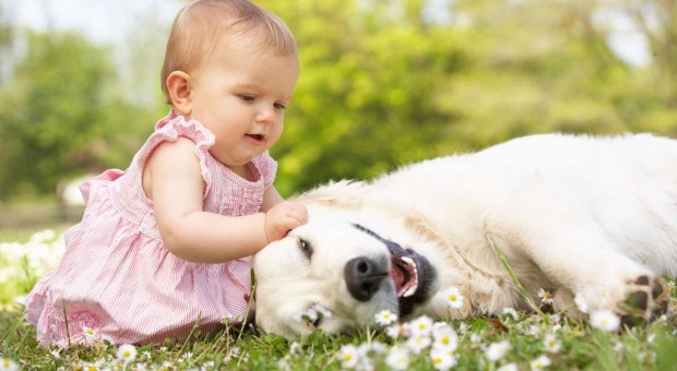 Տնային կենդանիներ և երեխաներ