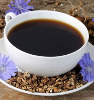 Եղերդակ (ցիկորիա)․ օգտակար հատկություններն ու հակացուցումները