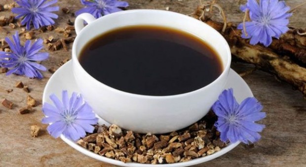 Եղերդակ (ցիկորիա)․ օգտակար հատկություններն ու հակացուցումները