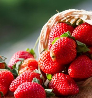 Ելակ․ օգտակար հատկությունները