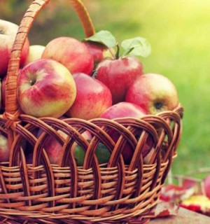 Խնձոր․ օգտակար հատկություններն ու հակացուցումները