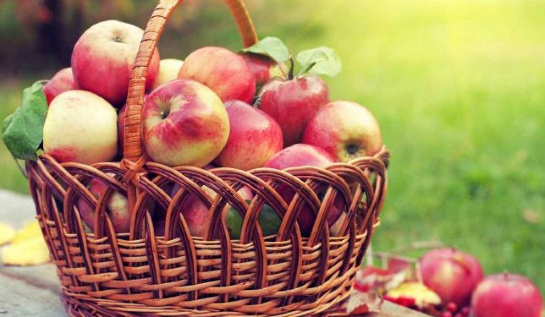Խնձոր․ օգտակար հատկություններն ու հակացուցումները
