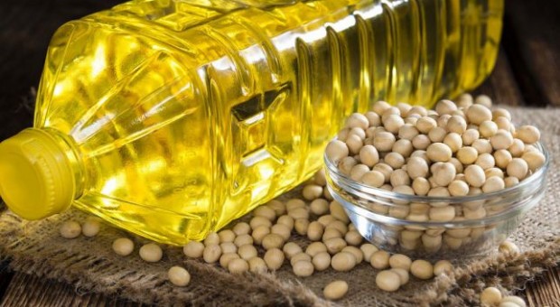 Սոյայի ձեթ. օգտակարությունը