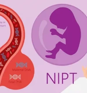 Ի՞նչ է NIPT-ը և ե՞րբ է անհրաժեշտ հանձնել