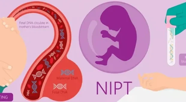 Ի՞նչ է NIPT-ը և ե՞րբ է անհրաժեշտ հանձնել